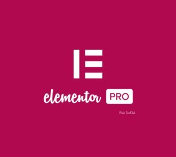 Elementor Pro v3.28.2-WordPress Page Builder
